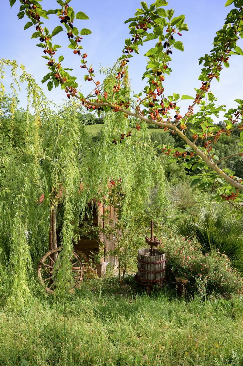Fair Play 25 3 Garden