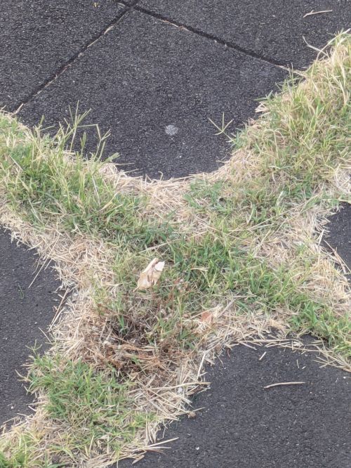 PXL 20250706 175128544.MP