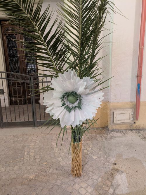 PXL 20250820 202052511.MP