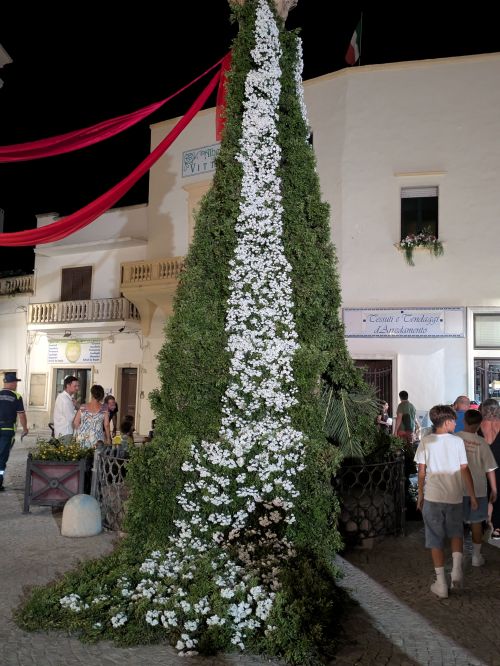 PXL 20250820 202327820.MP 1