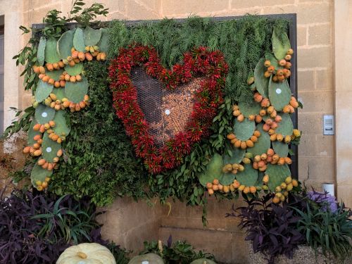 PXL 20250820 203256661.MP