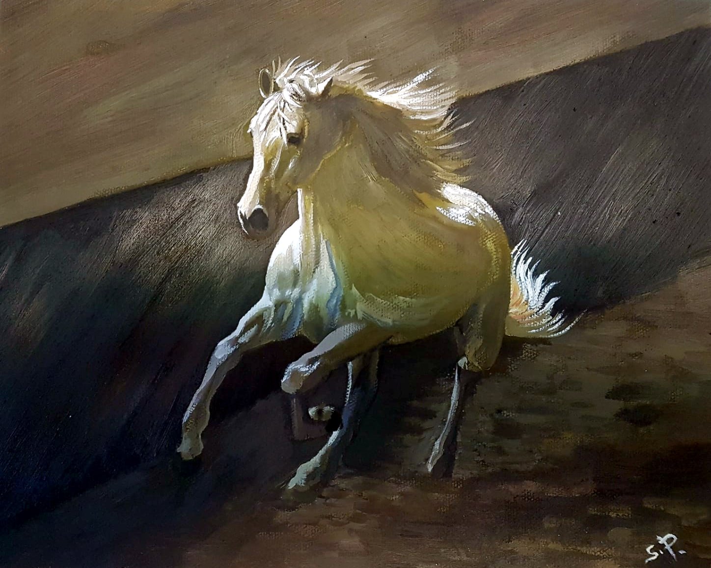 bozzetto su pergamena 01 cavallo sandra petreni pittura