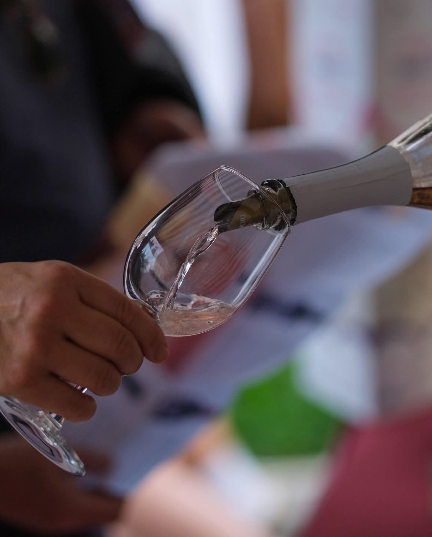 calice di vino