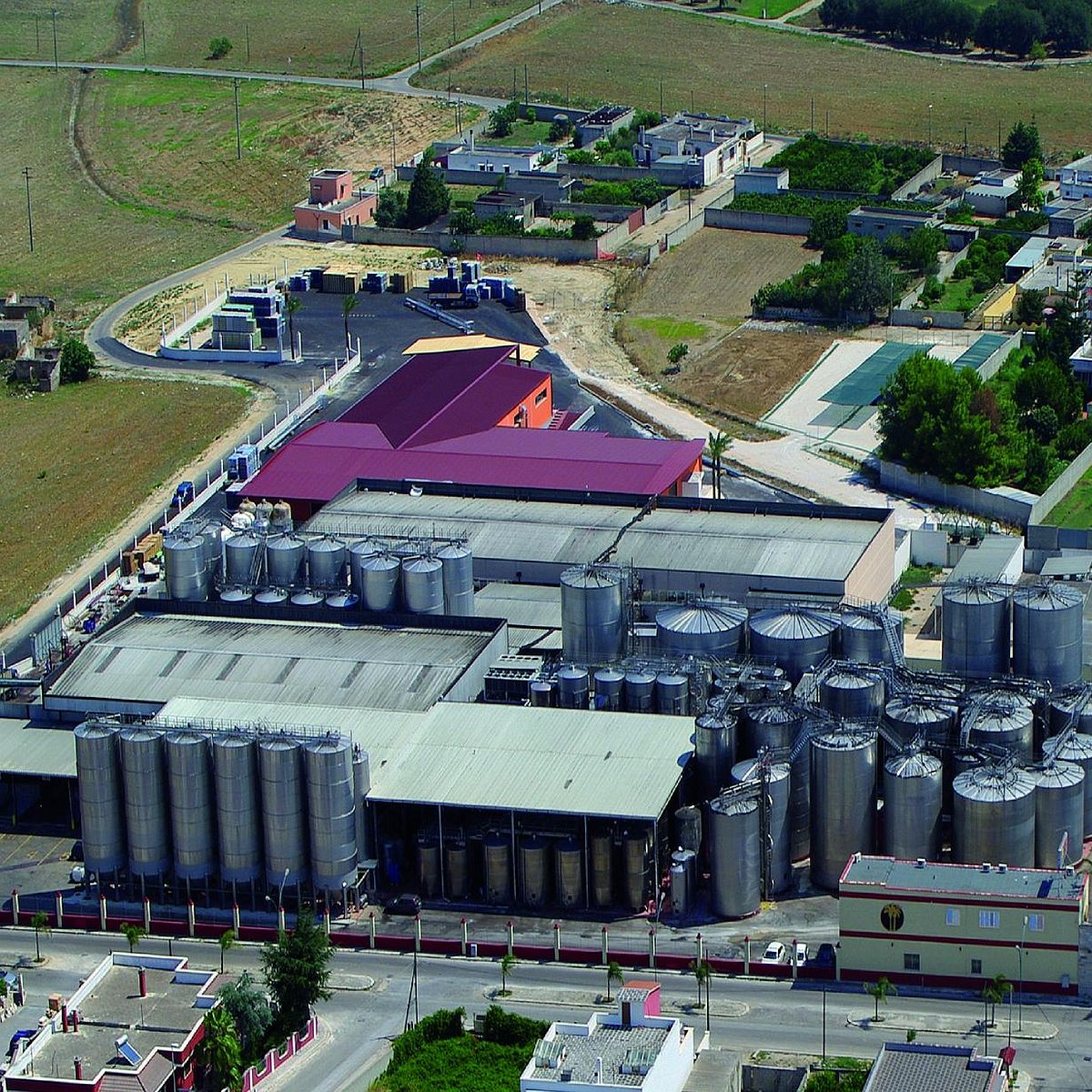 cantine due palme