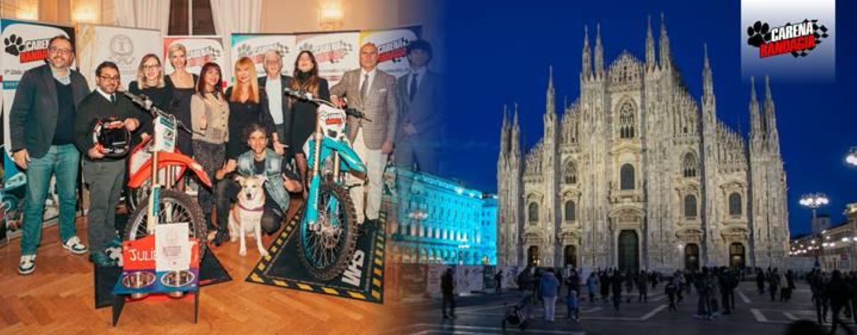 carena randagia milano 1