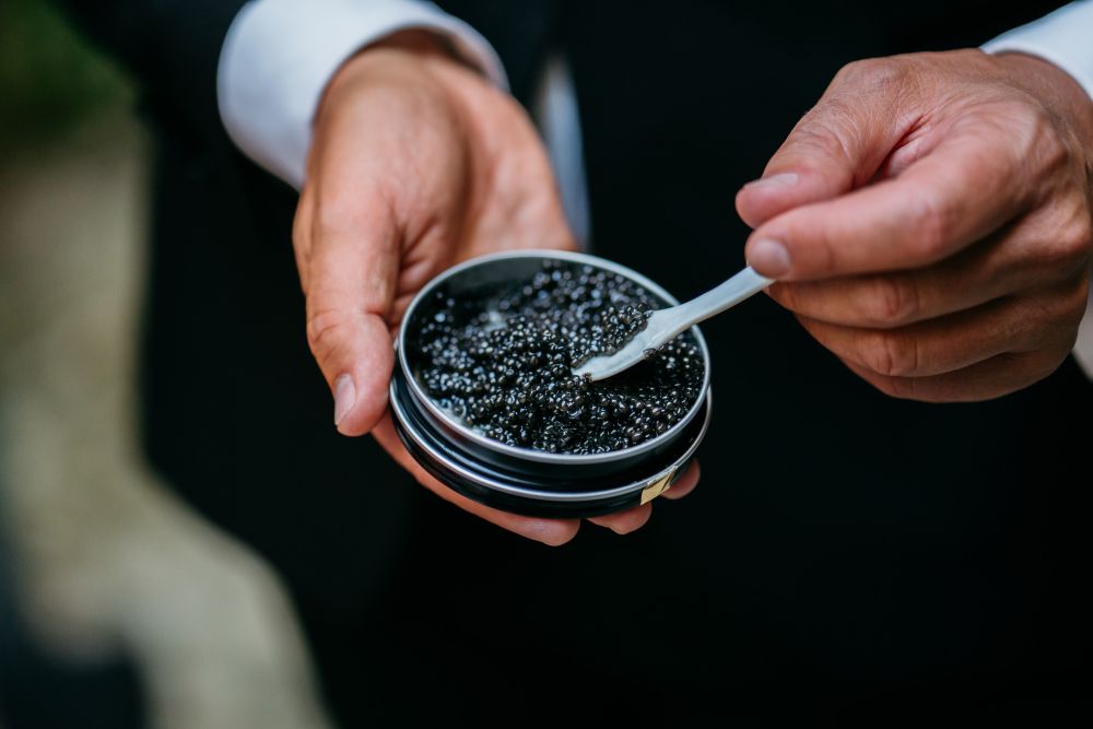 caviale calvisius