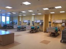 dea lecce interno
