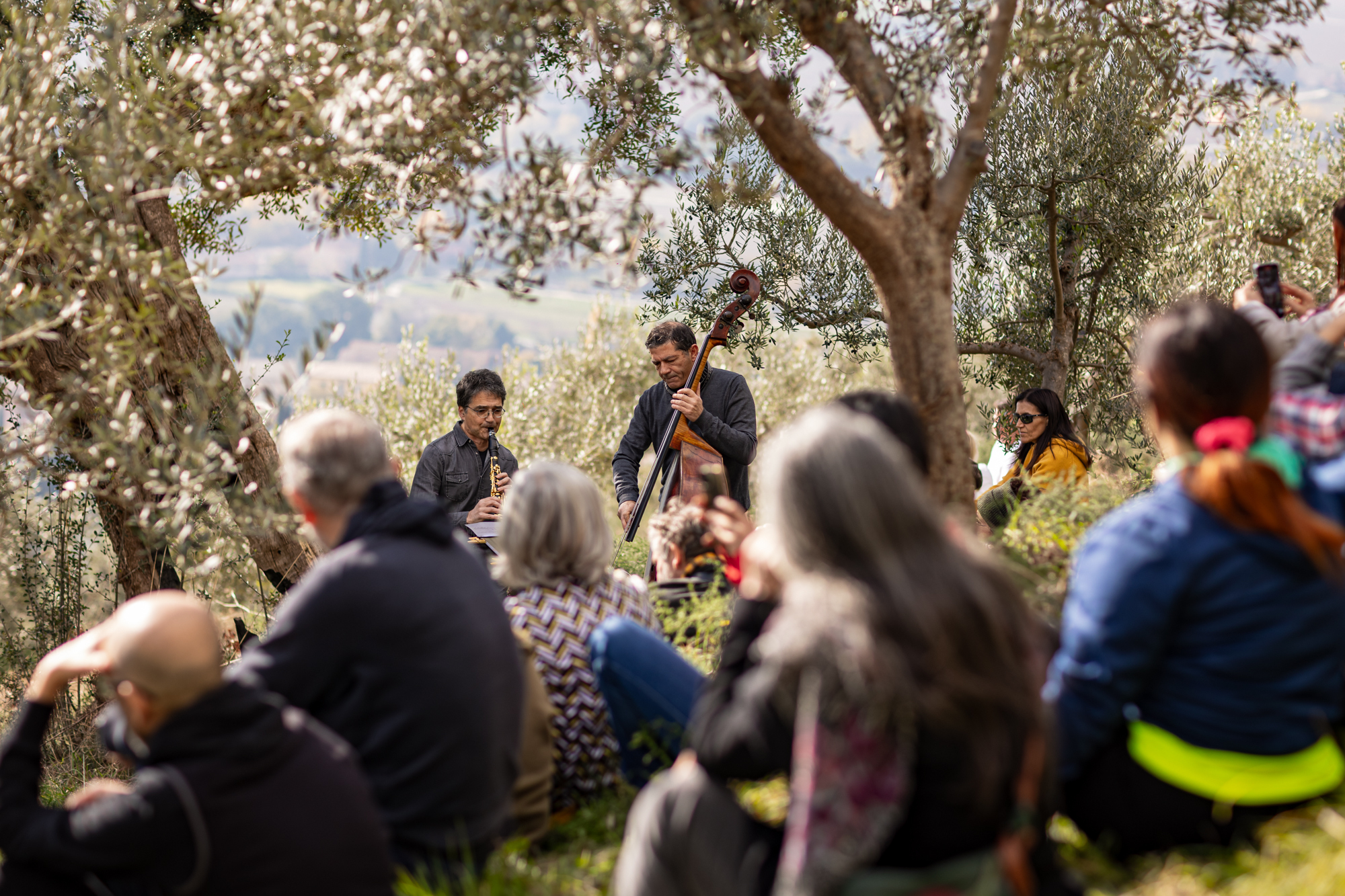 frantoi aperti in Umbria