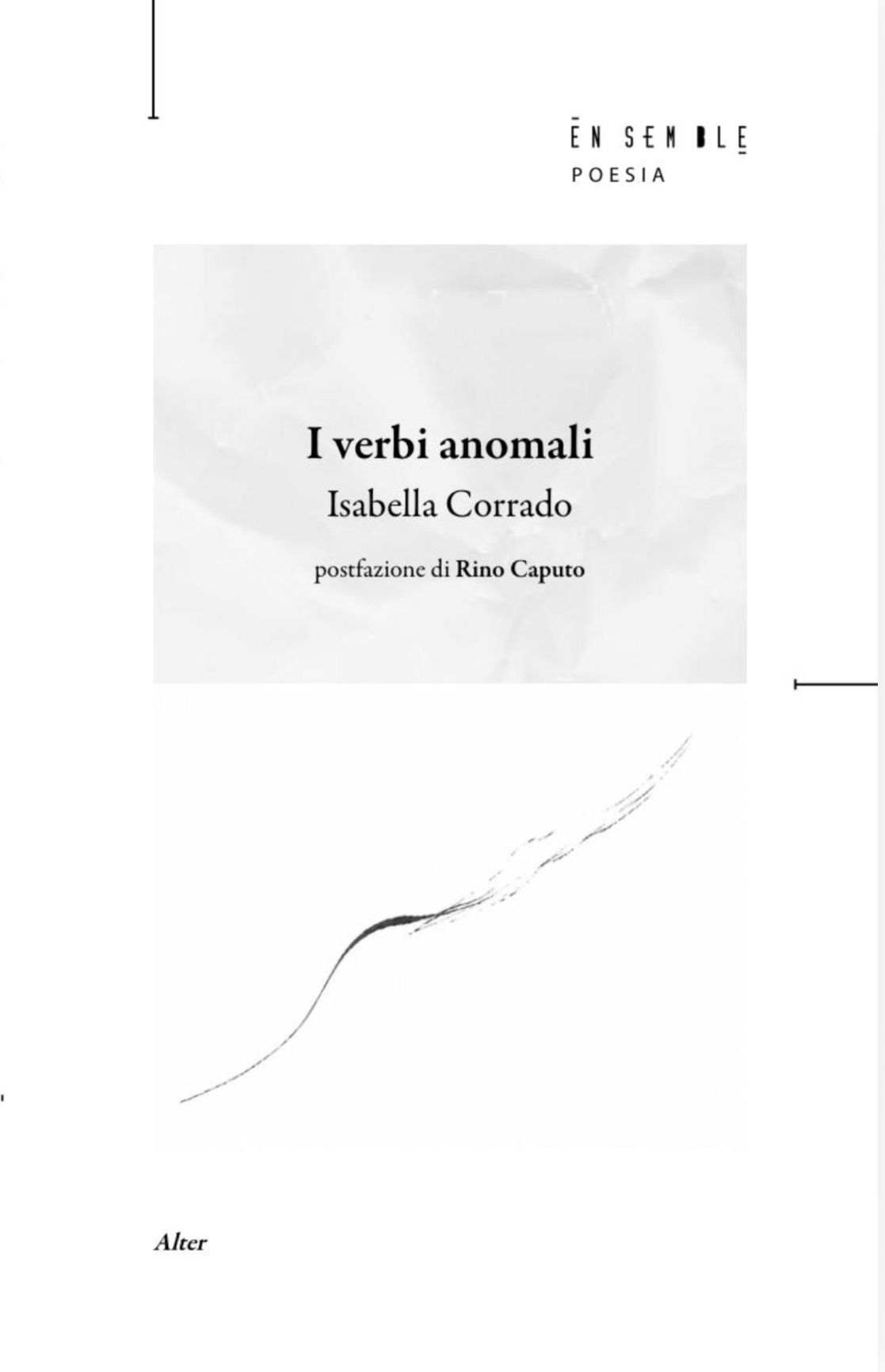 copertina del libro i verbi anomali