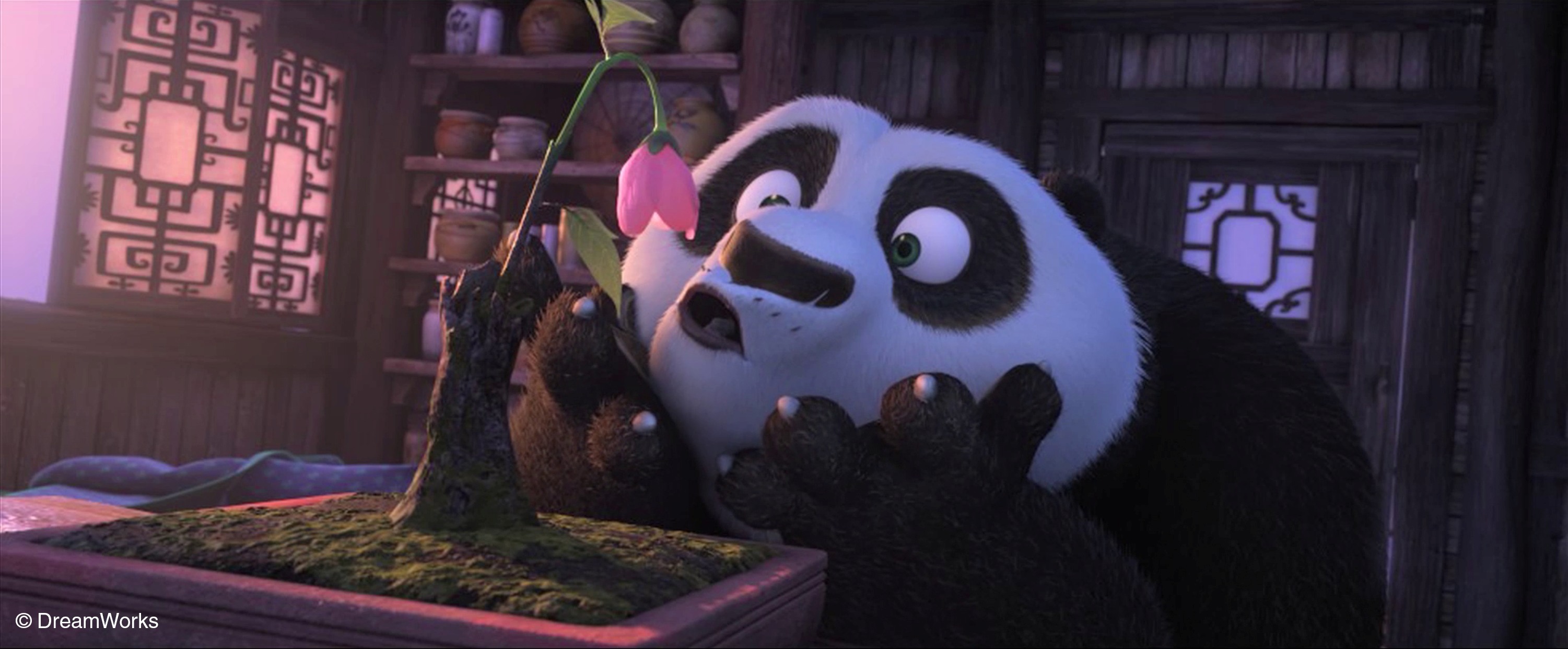 Alexis Wanneroy DreamWorks 1