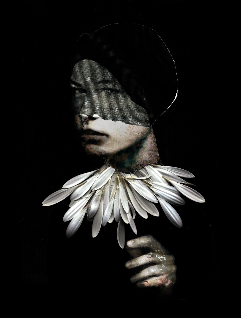 Izzo 4 The Aloofness Donatella Izzo Black Light Gallery