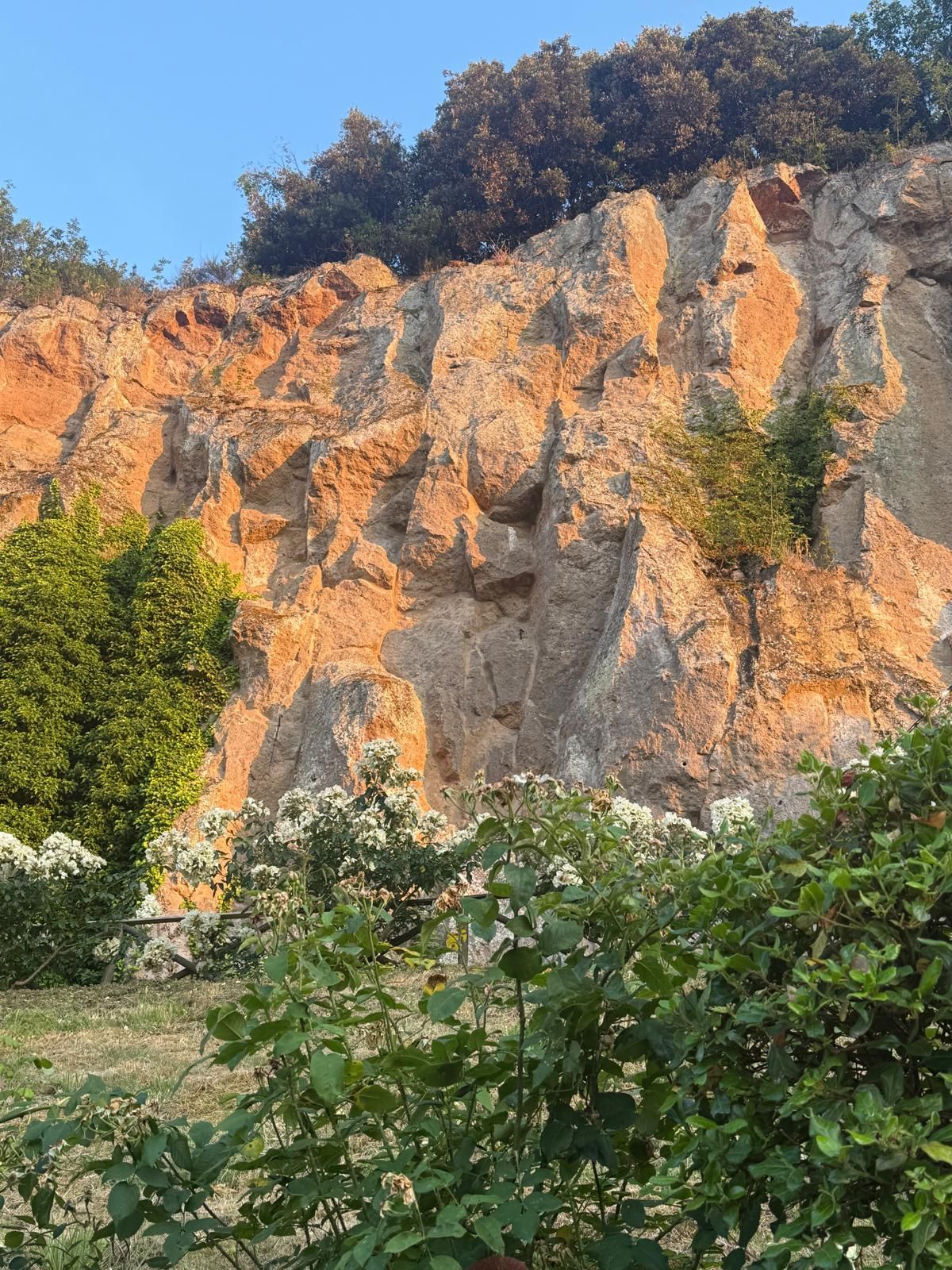 Rocca Ripesena