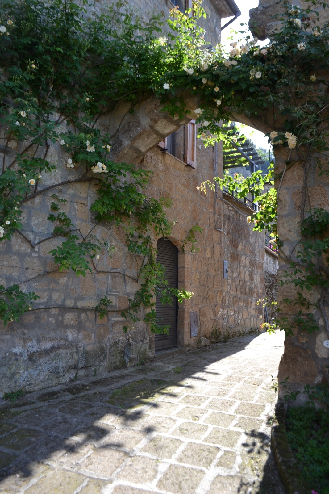 Rocca Ripesena2