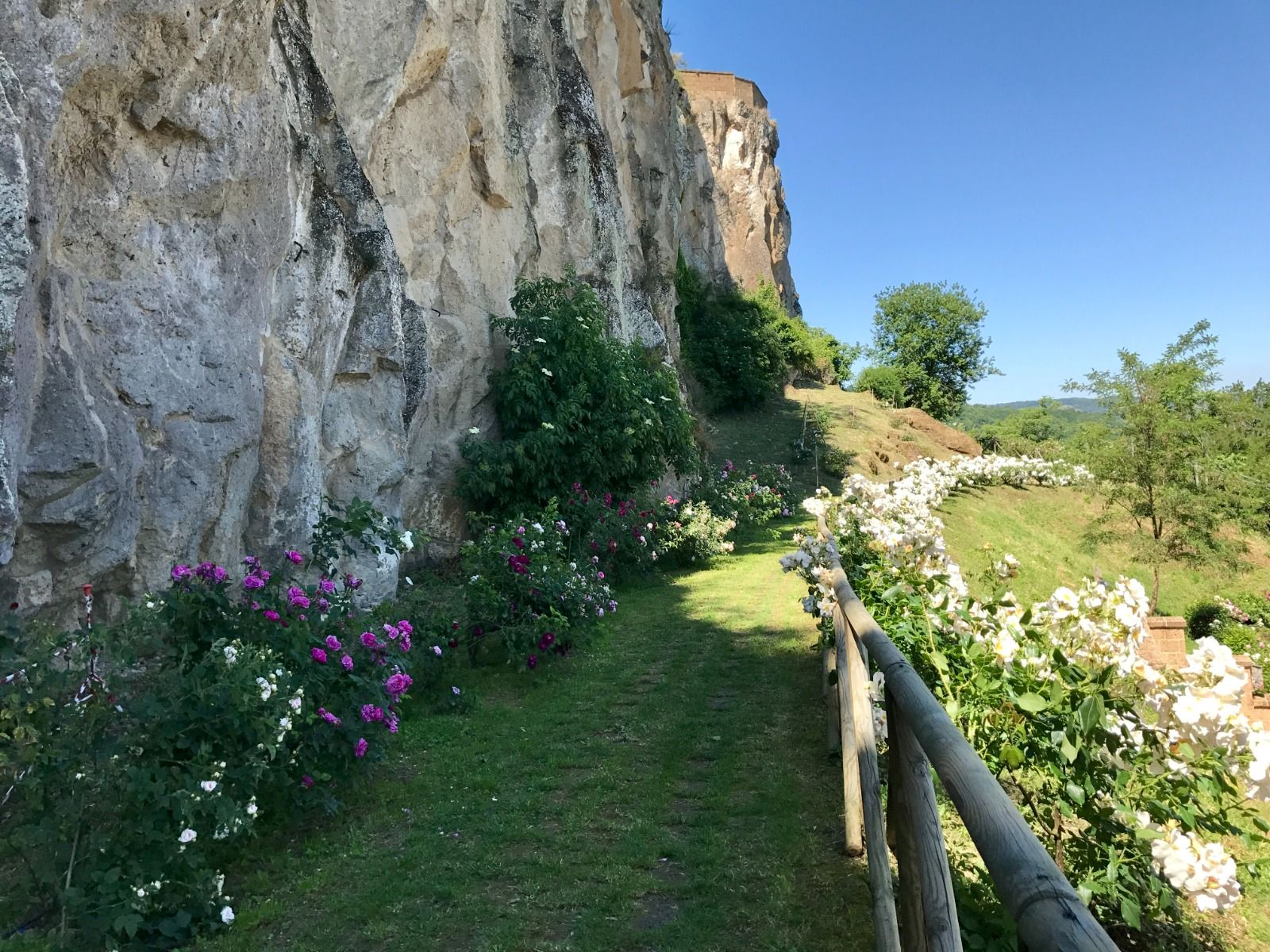 Rocca Ripesena roseto