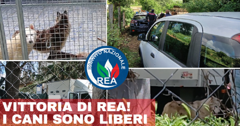 Vittoria di REA cani finalmente liberi