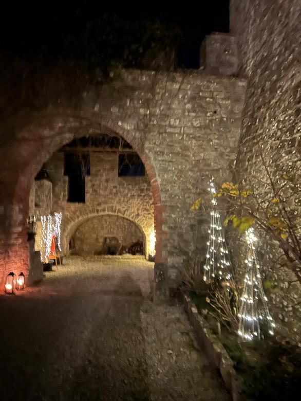 castello montegiove 25 3