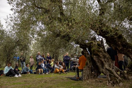 frantoi aperti 25 3 umbria