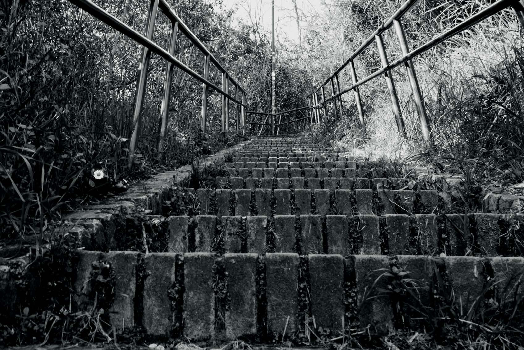 scala di montesacro