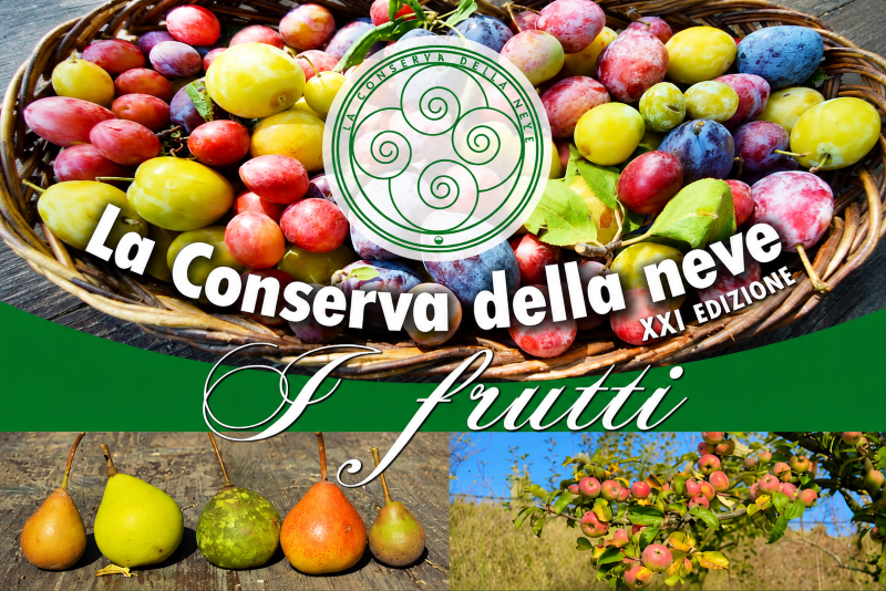 la conserva della neve