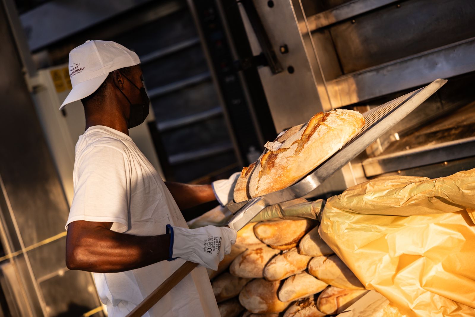 pane 2