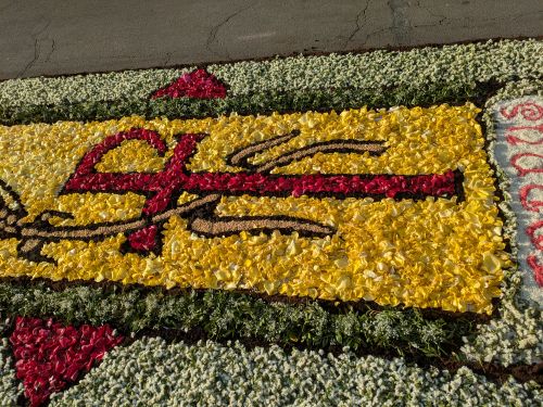 parte dellinfiorata