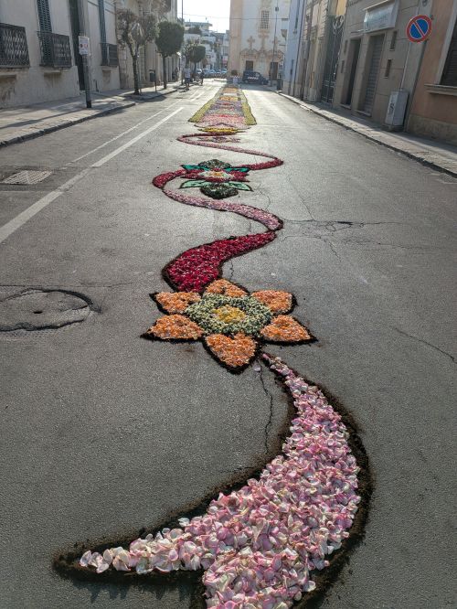 parte finale dellinfiorata