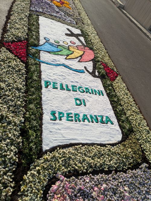 particolare dellinfiorata