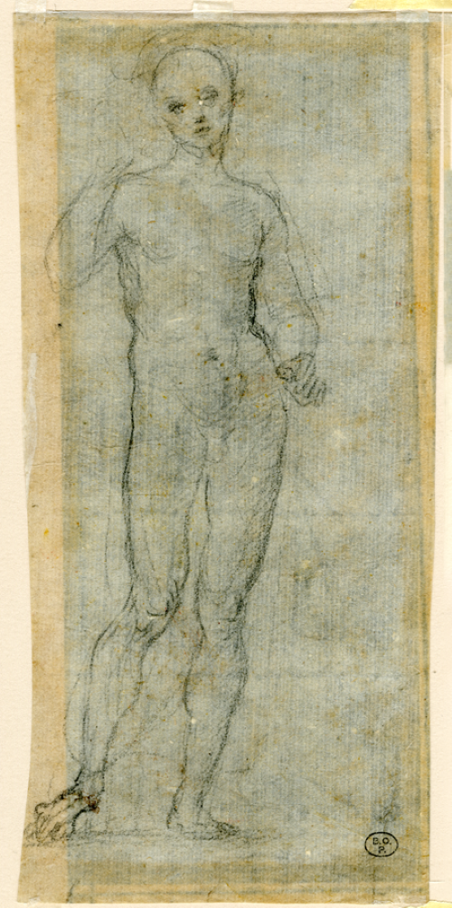 pesaro capitale del disegno 4 Raffaello Studio di figura 