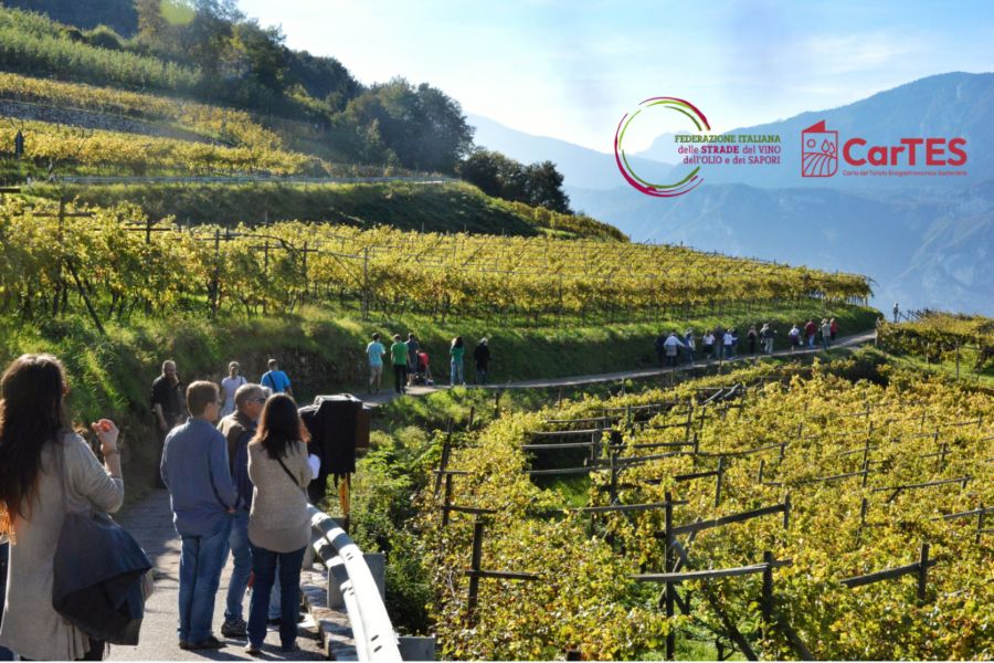strada del vino per la sostenibilità 30 maggio 25